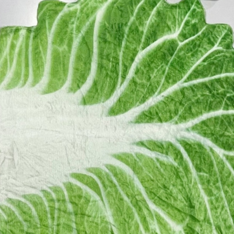 Baby Toddler Green Cabbage Blanket Cover Up