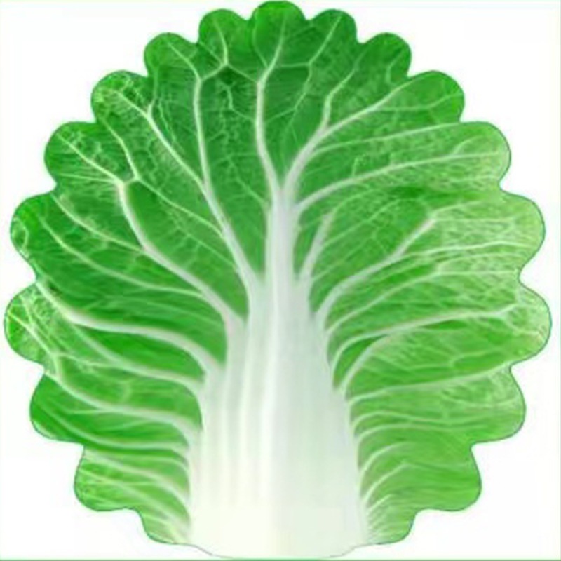 Baby Toddler Green Cabbage Blanket Cover Up