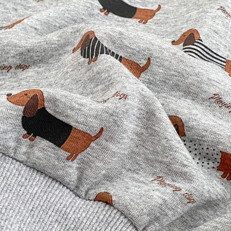 2-Piece Baby Toddler Dachshund Print Sweatshirt Set