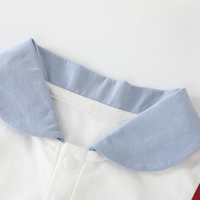 Baby Girl Color-Blocked Pleated Dress