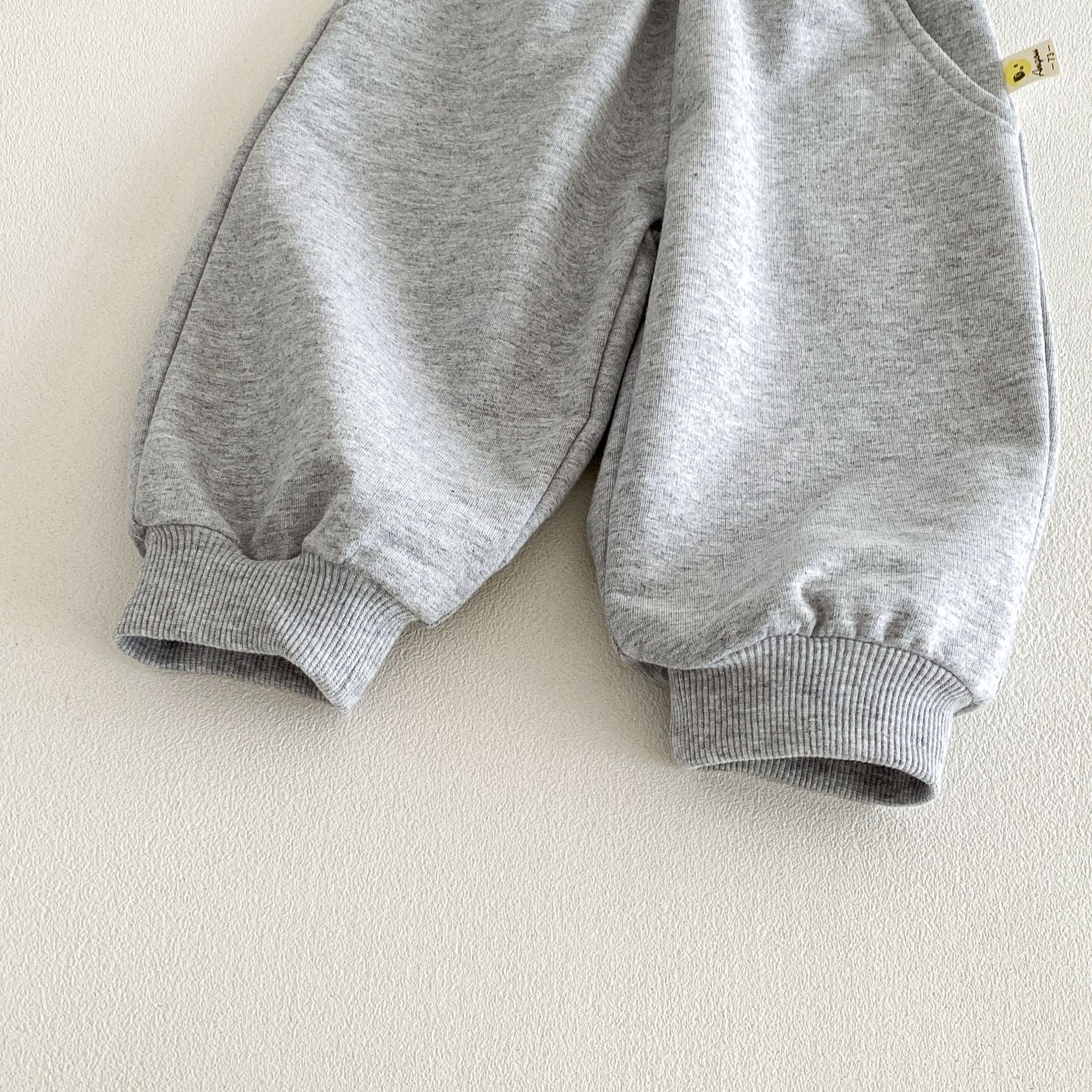 Baby Toddler Girl Rabbit Hooded 2-Piece  Sets