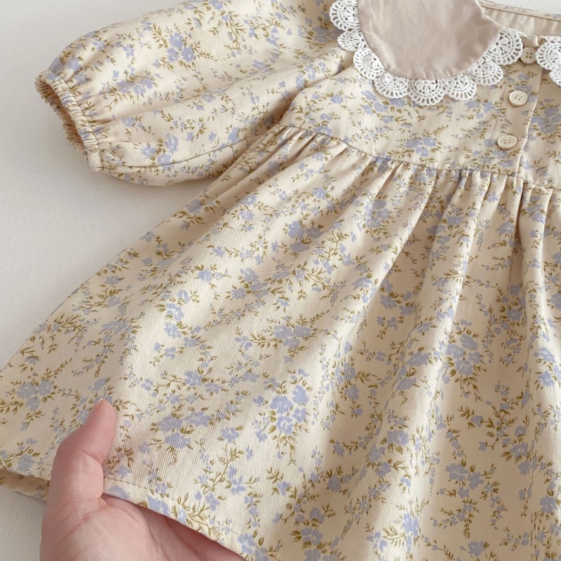 Baby Toddler Girls Small Floral Dress