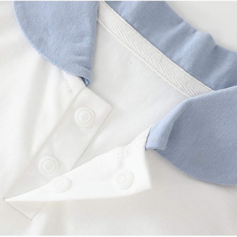 Baby Girl Color-Blocked Pleated Dress