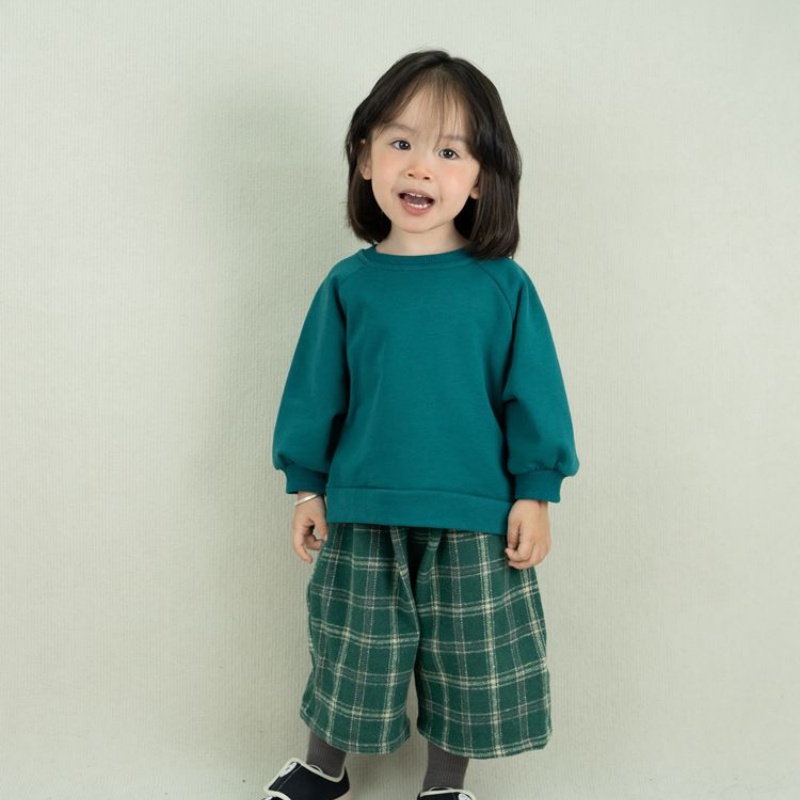 Baby Toddler Solid Color Sweatshirt