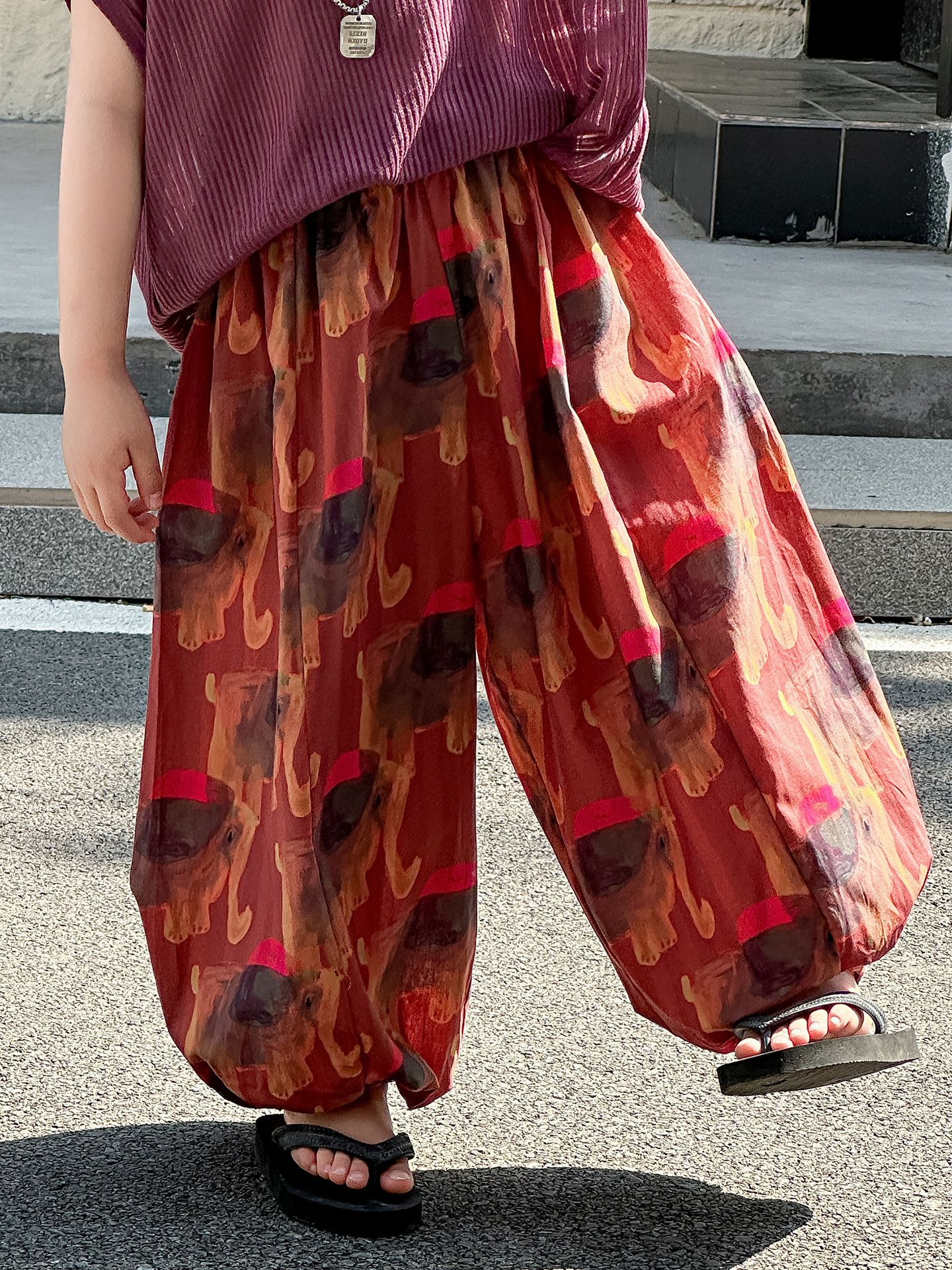 Toddler Boys Printed Cuffed Pants