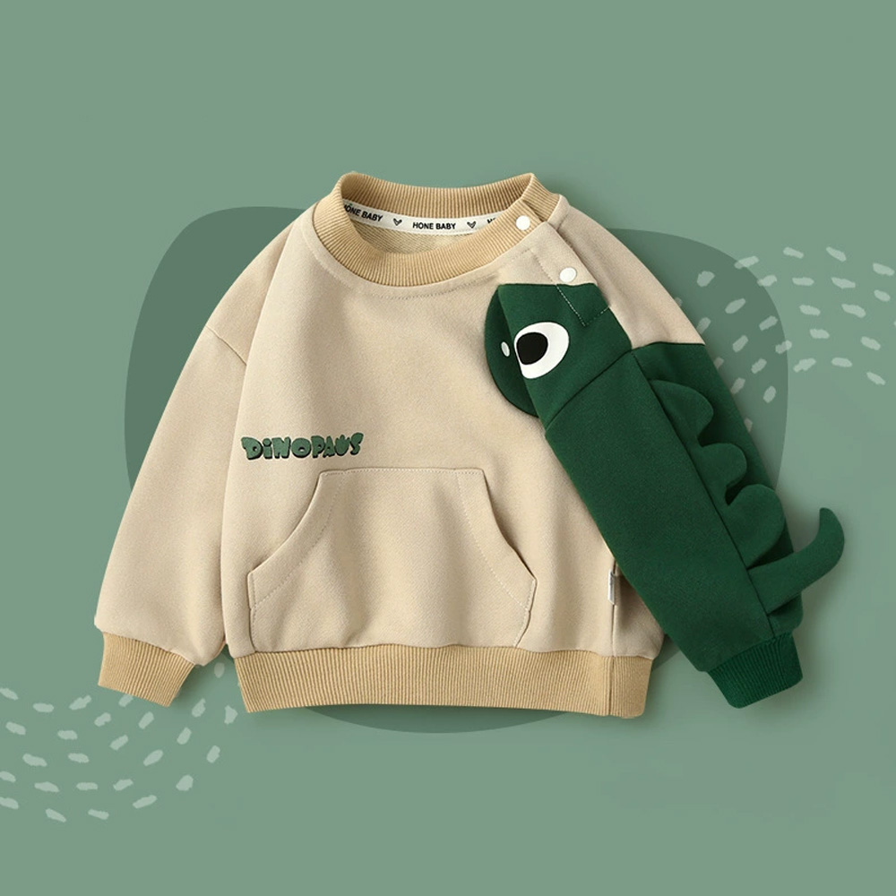 Toddler Boy Dinosaur Sweatshirt