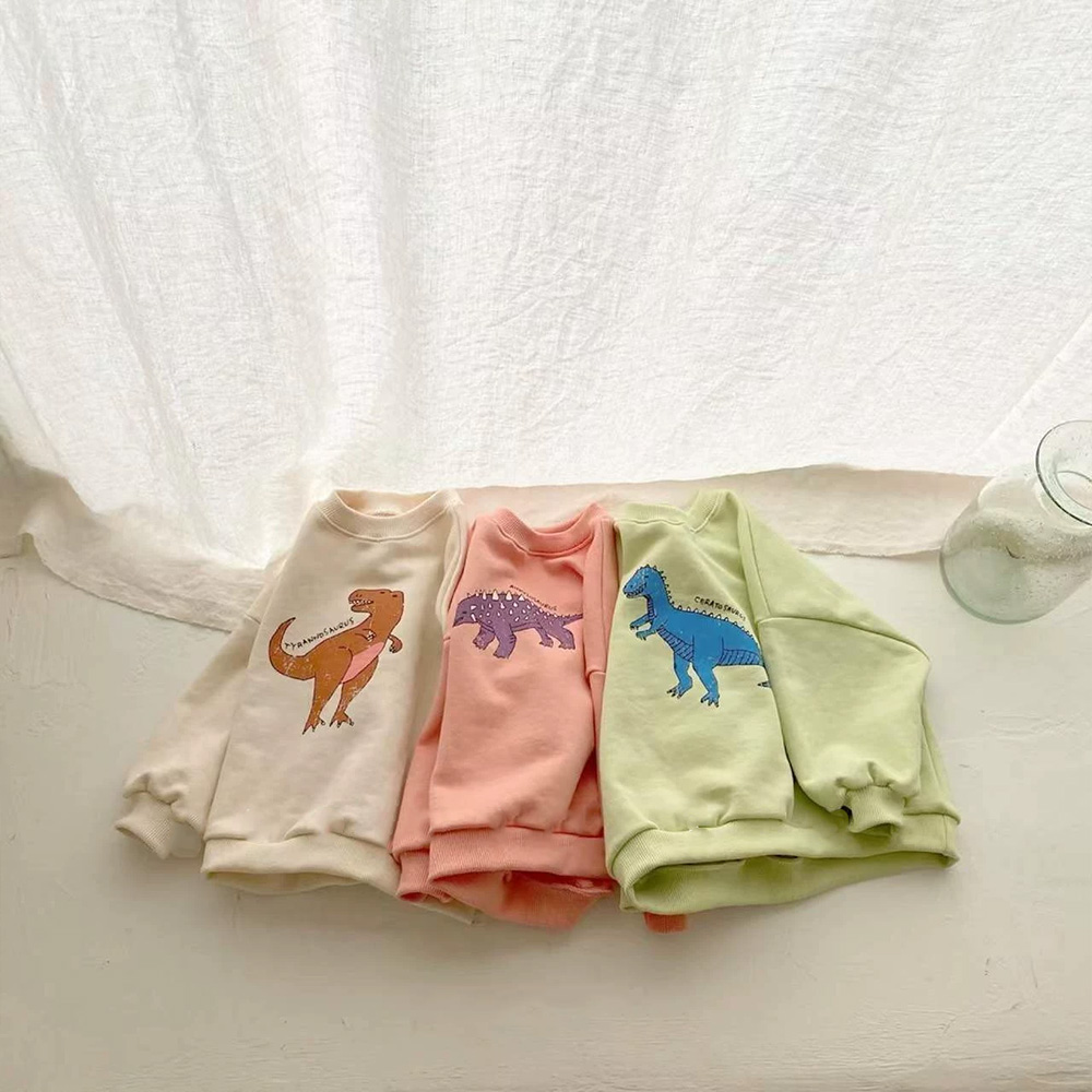 Toddler Dinosaur Sweatshirt