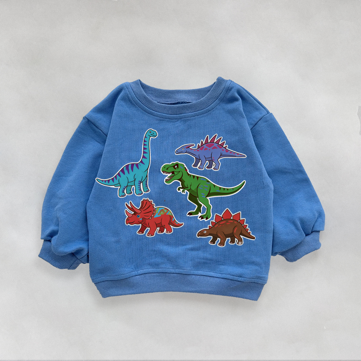 Baby & Kids Dinosaur Pattern Sweatshirt
