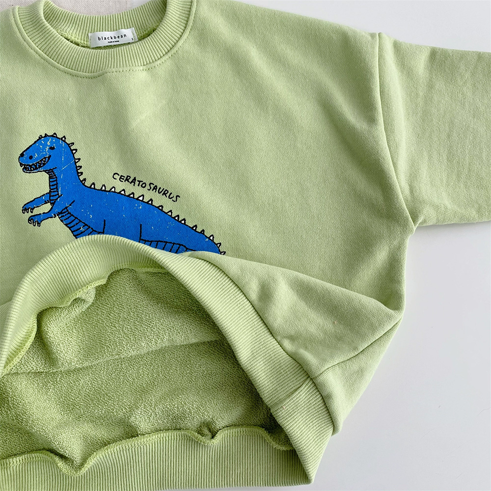 Toddler Dinosaur Sweatshirt