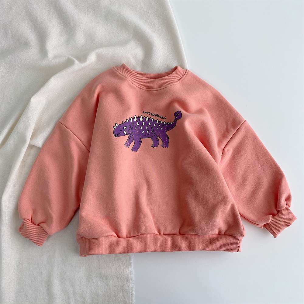 Toddler Dinosaur Sweatshirt