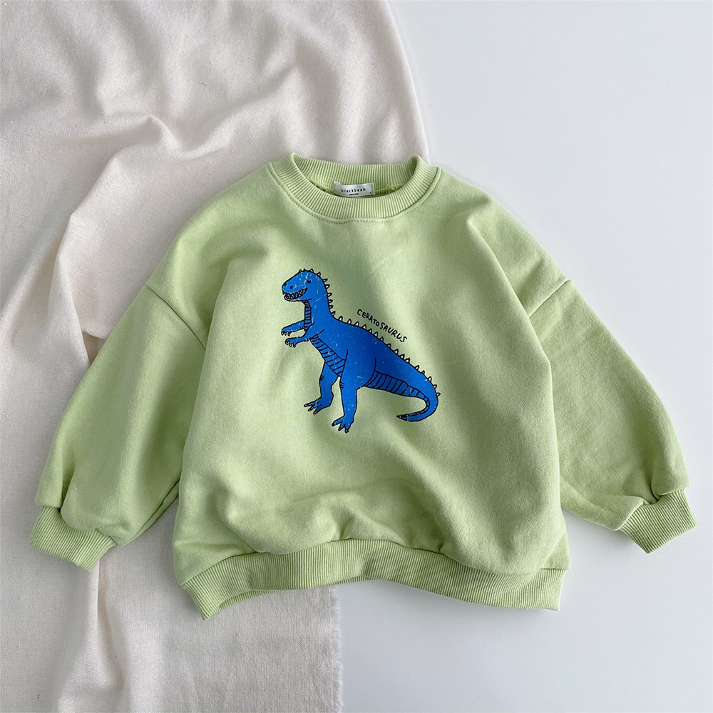 Toddler Dinosaur Sweatshirt