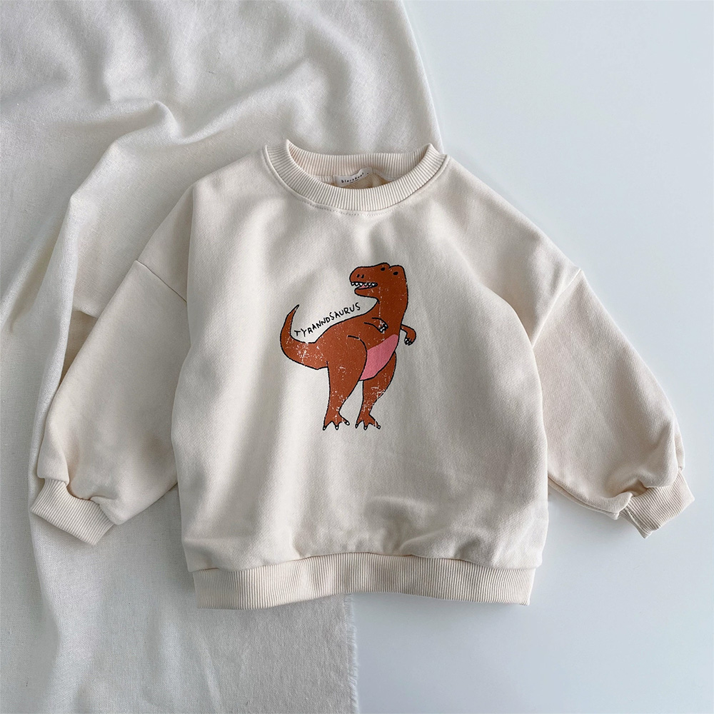 Toddler Dinosaur Sweatshirt