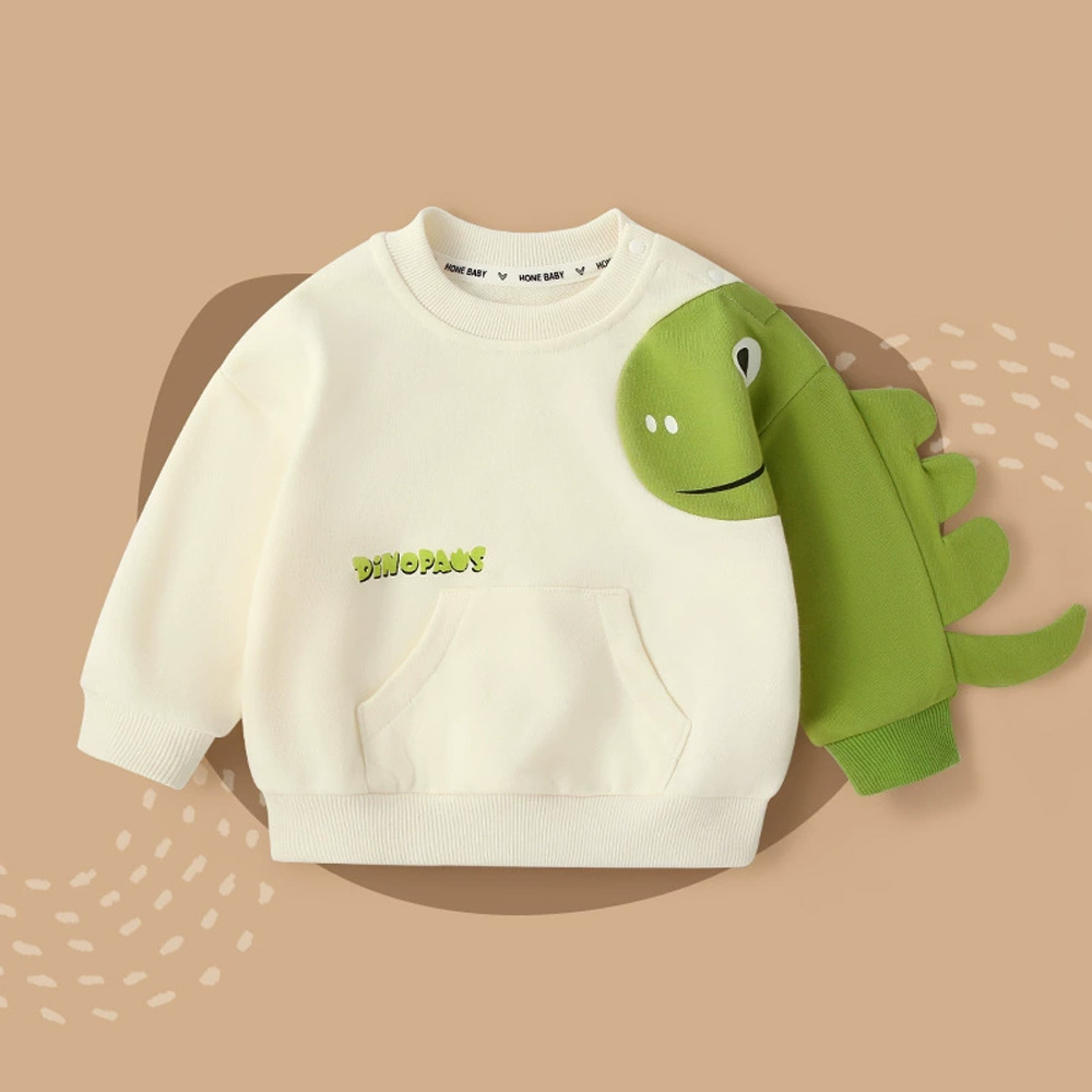 Toddler Boy Dinosaur Sweatshirt