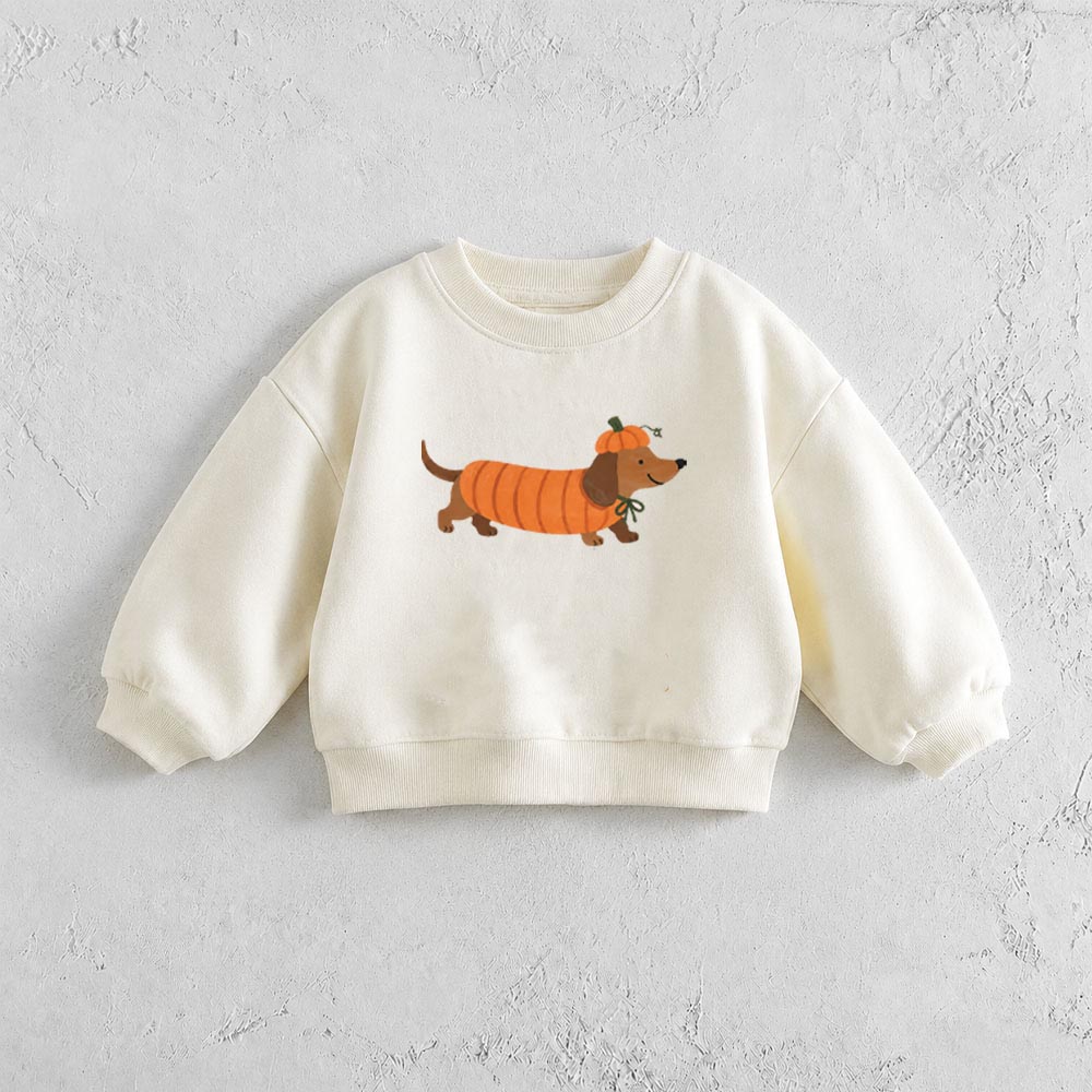 Baby & Kids Pumpkin Dachshund Pattern Sweatshirt