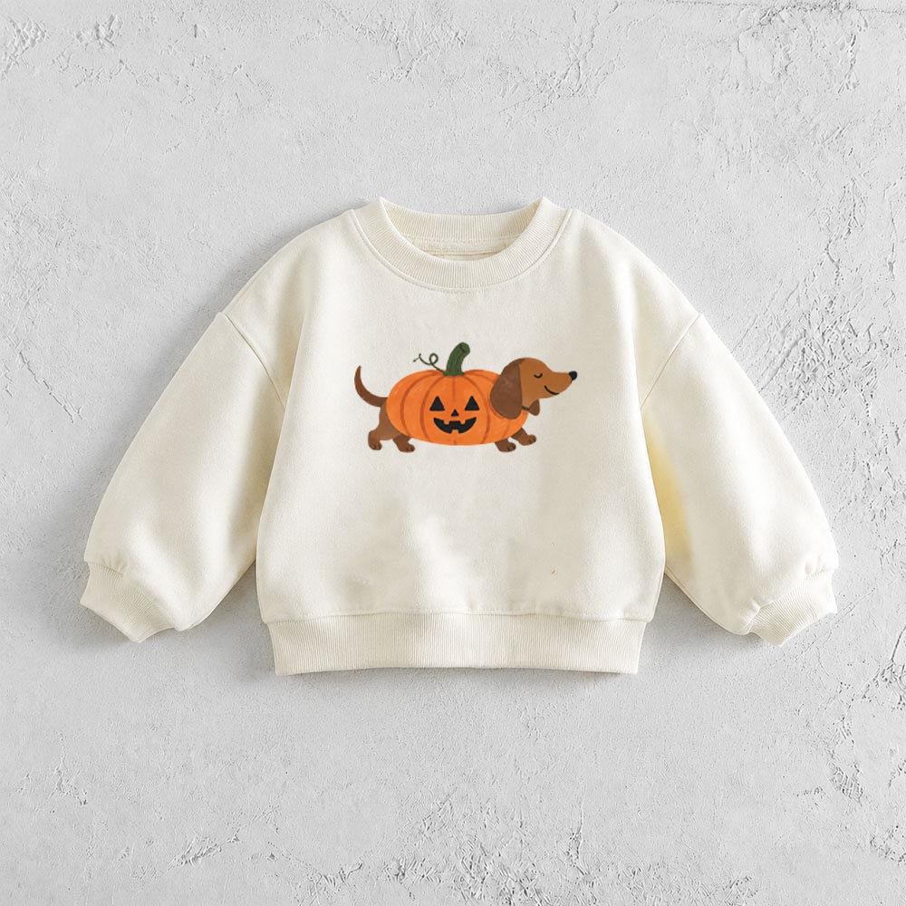 Baby & Kids Pumpkin Face Dachshund Pattern Sweatshirt