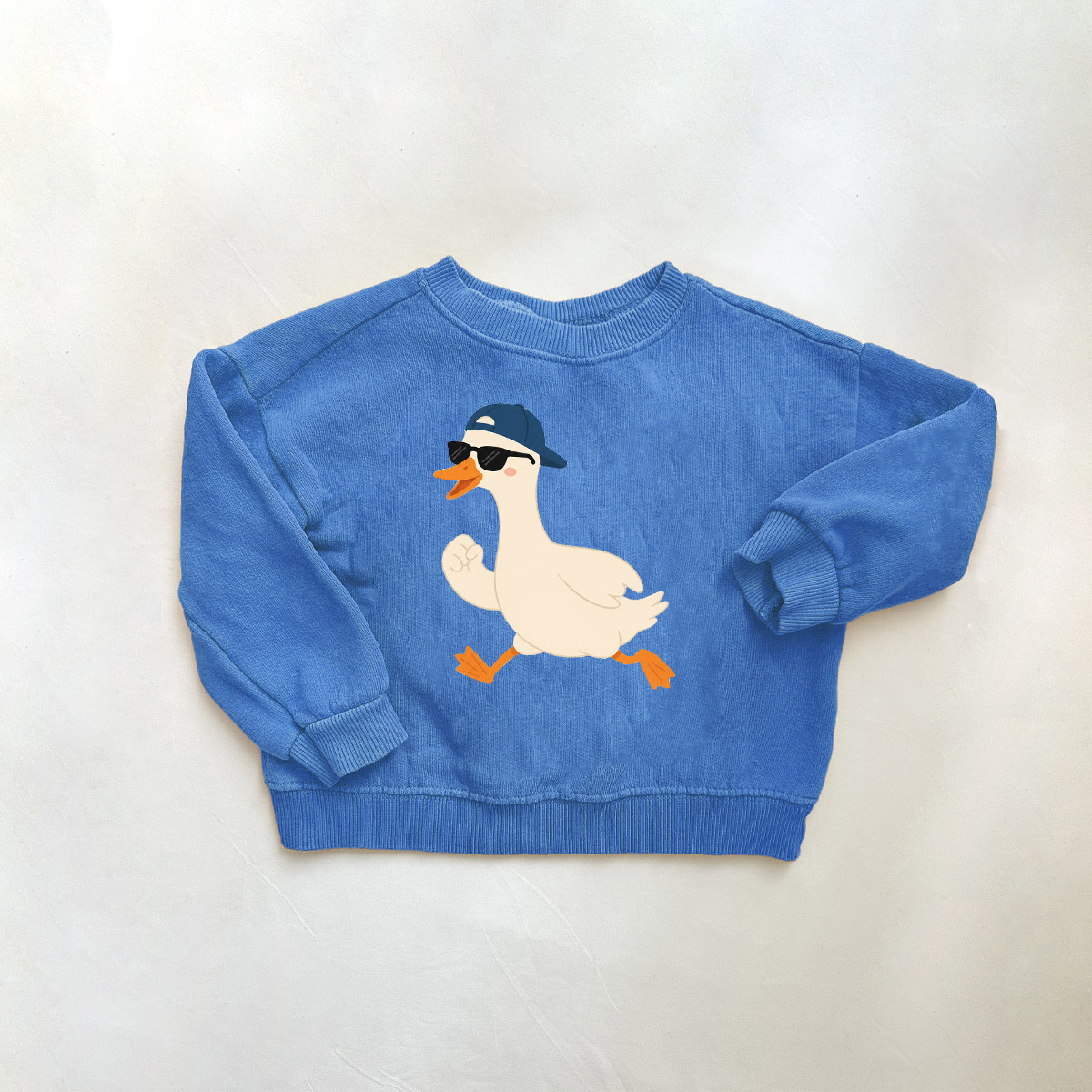 Baby & Kids Goose Pattern Blue Sweatshirt