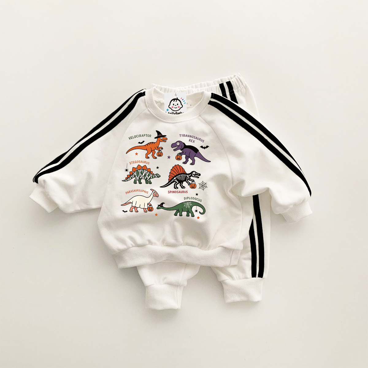 Baby Dinosaur Sweatshirt Sets