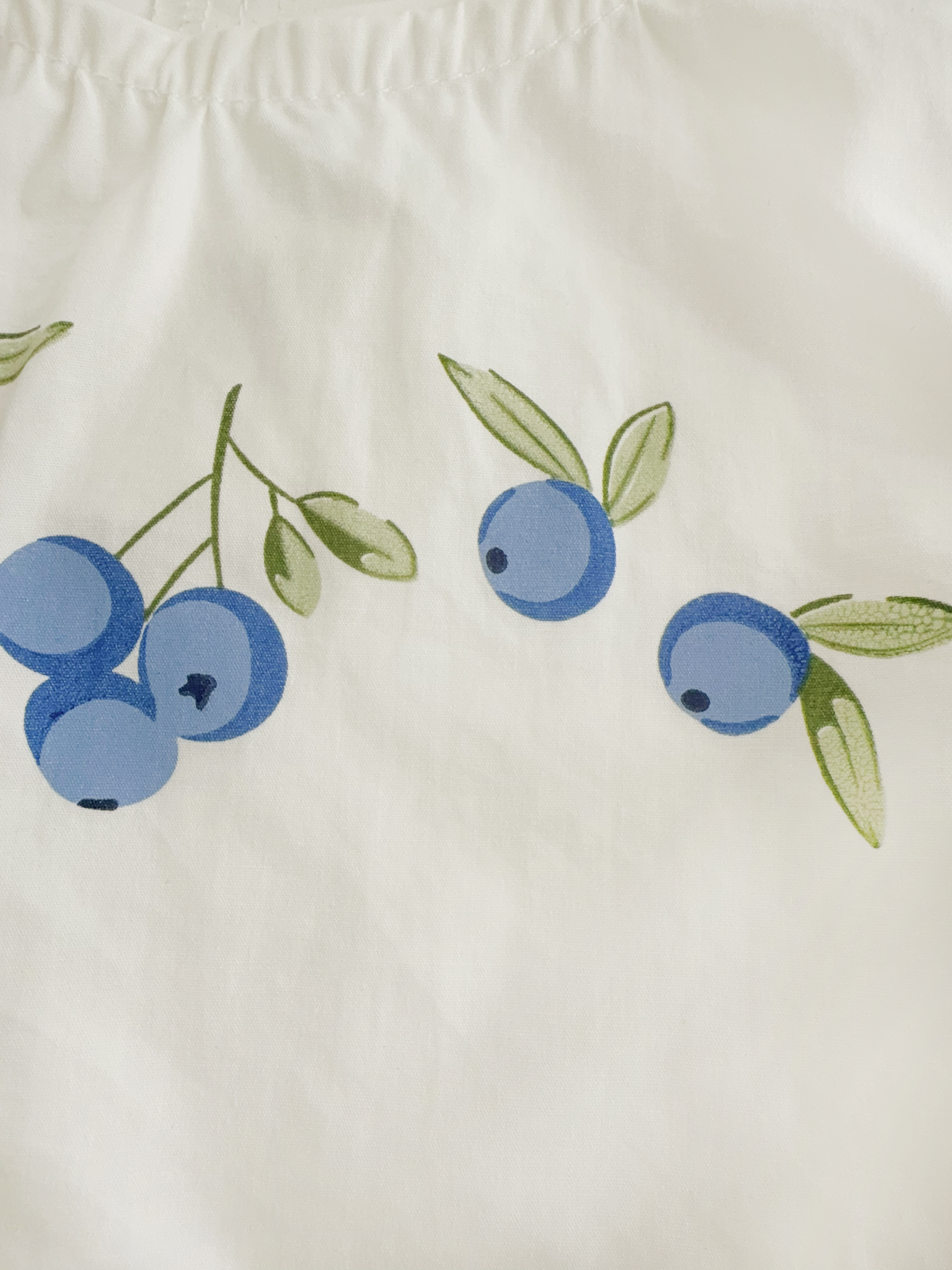 Baby Toddler 2-Piece Blueberry Set