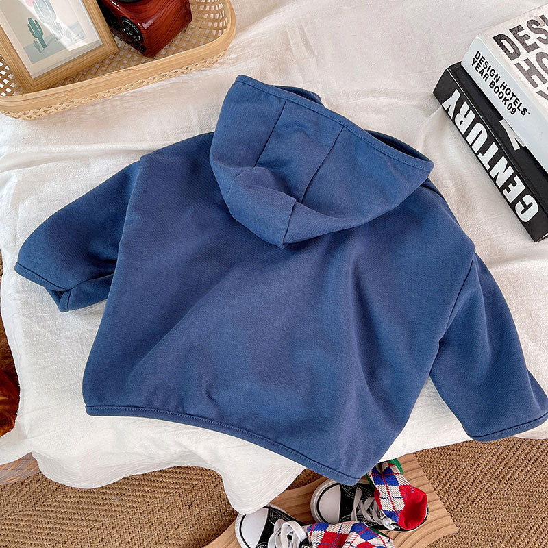 Baby Toddler Boy Blue Hooded Sweatshirt