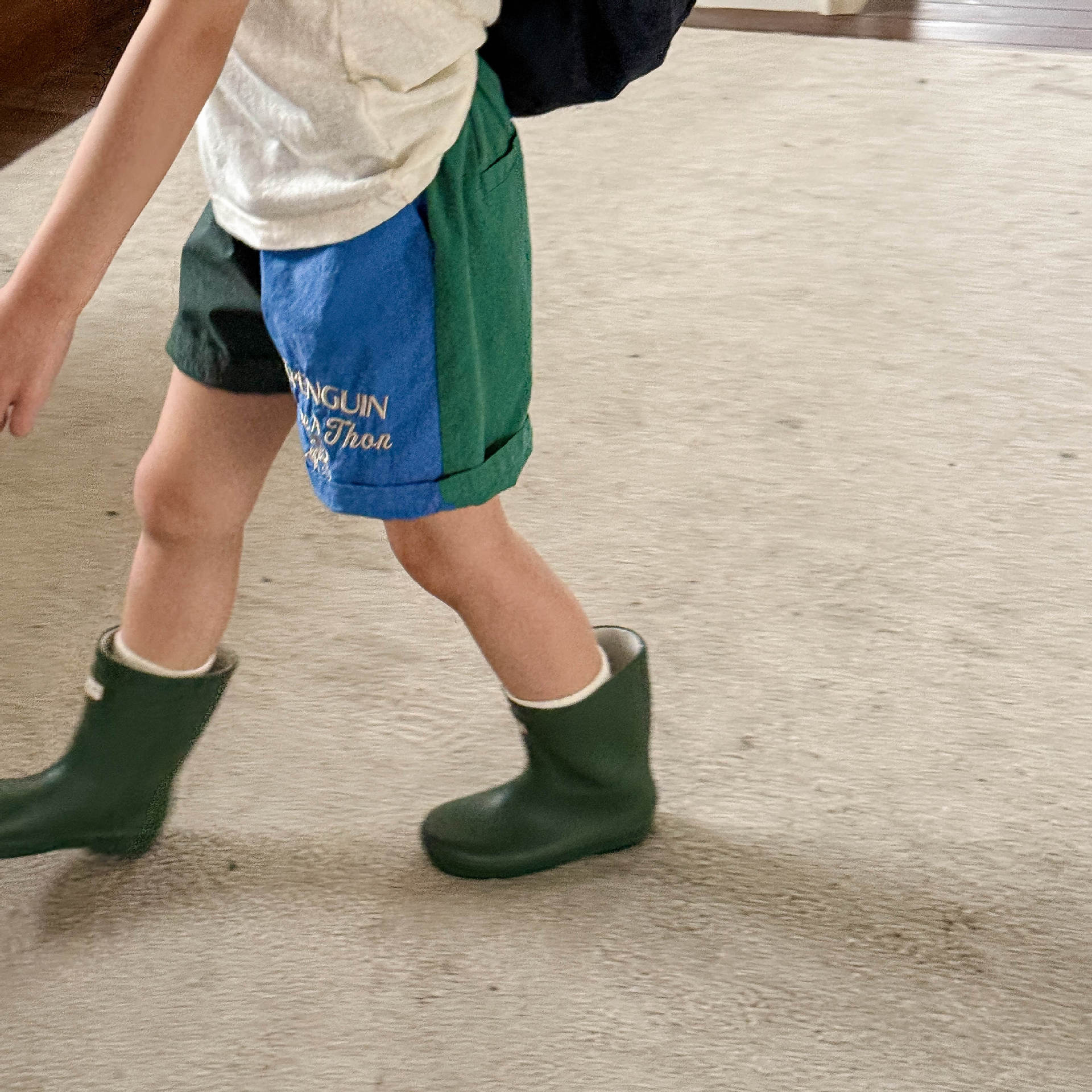 Toddler Penguins Embroidery Contrast Shorts