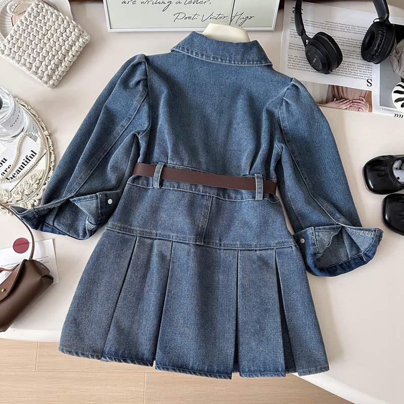 Toddler Girls Denim Dress