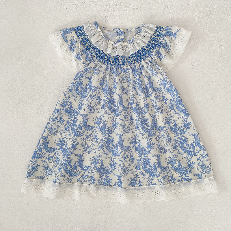 Baby Toddler Girl Blue Flower Lace Dress