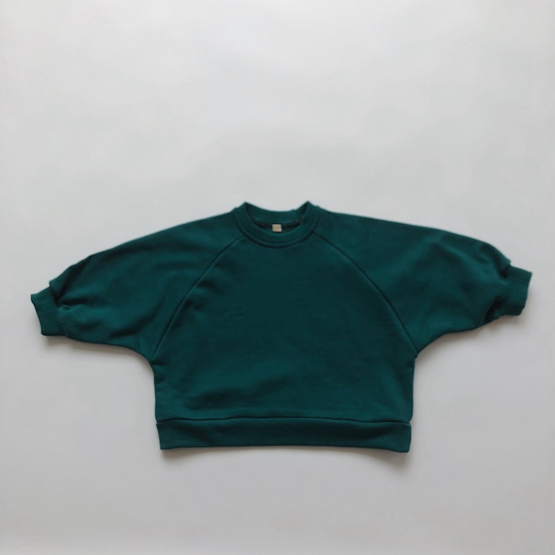 Baby Toddler Solid Color Sweatshirt
