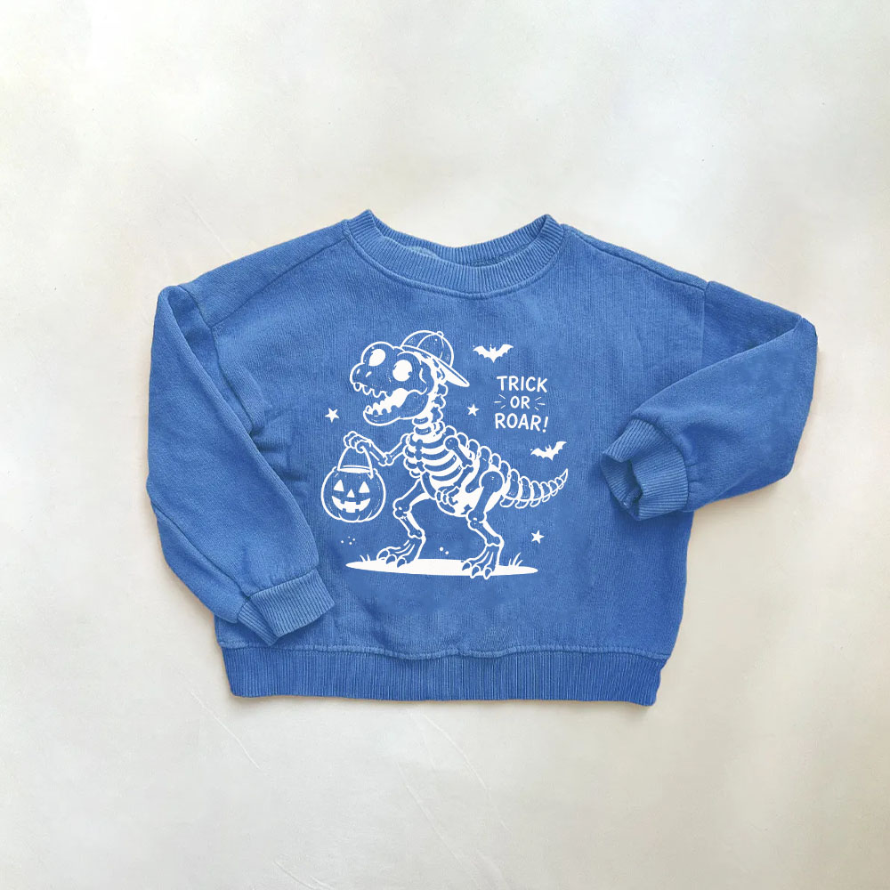 Baby & Kids Dinosaur Sweatshirt