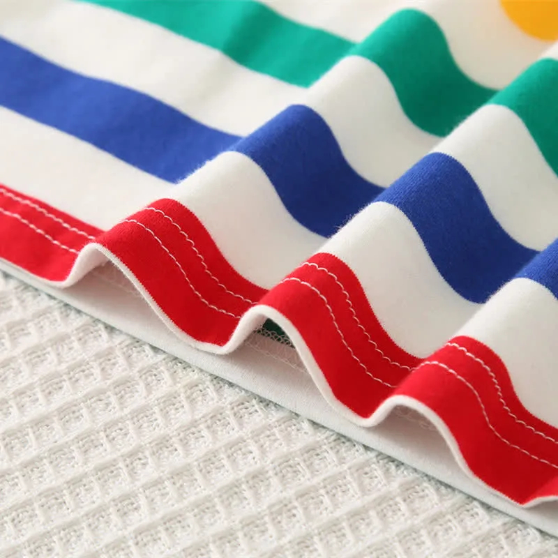 Baby 2-Piece Multicolor Striped Dinosaur Set