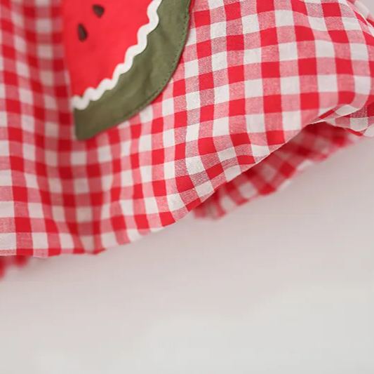 Baby Watermelon Red Plaid Sleeveless Dress