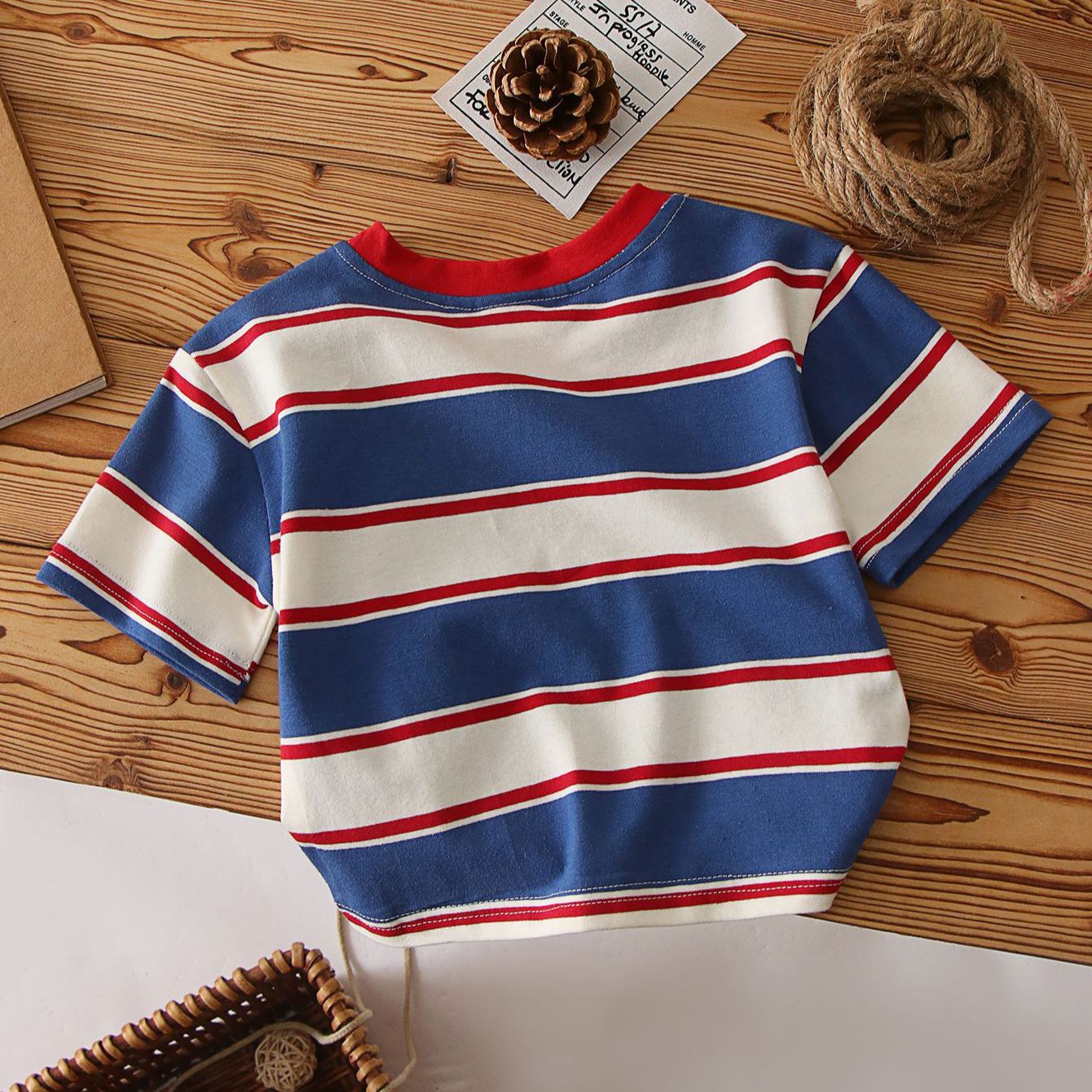 Toddler Boy Red and Blue Stripe T-shirt T-shirt