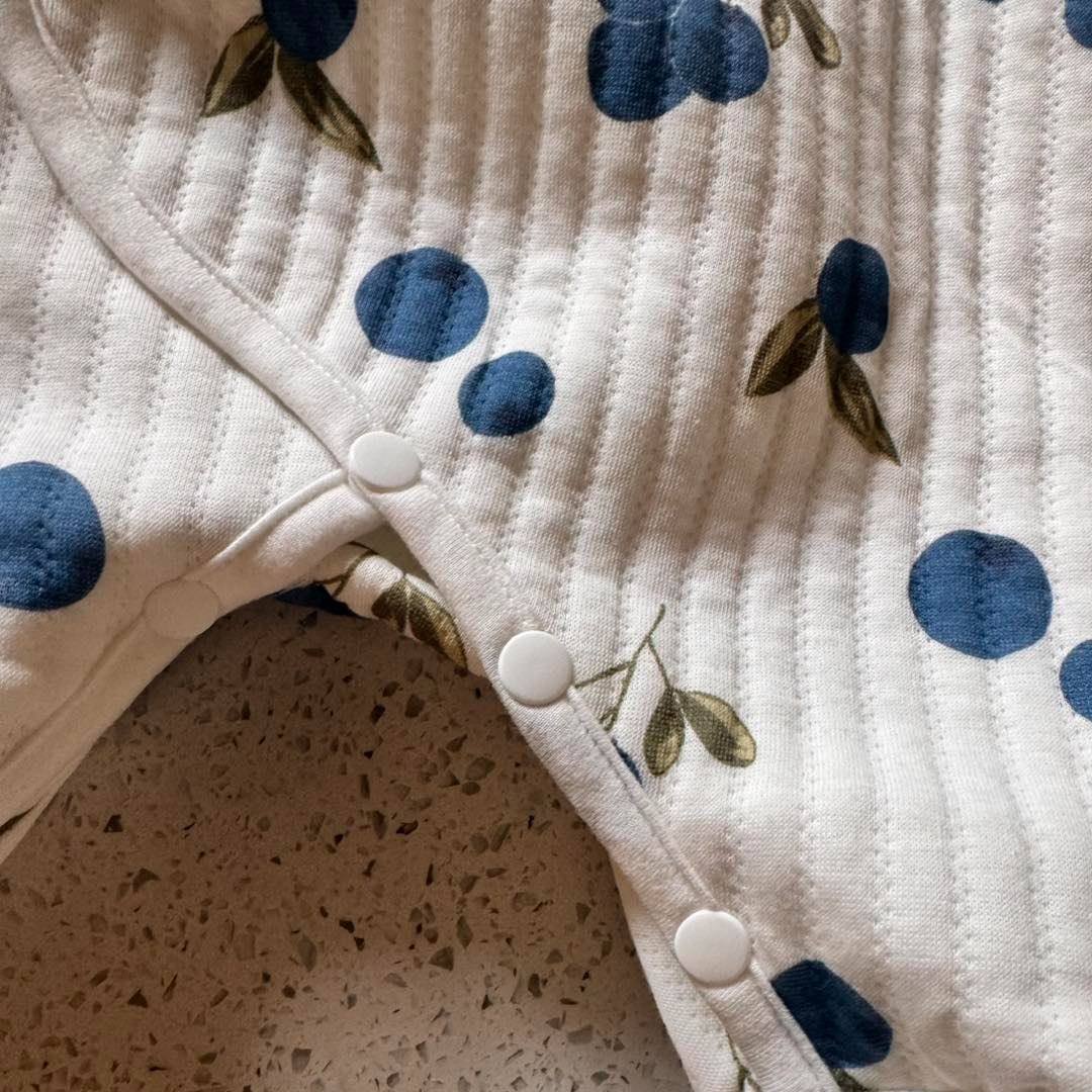 Baby Newborn Blueberry Kimono Romper