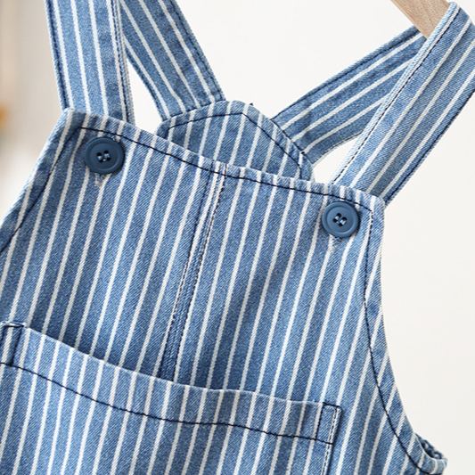 Toddler Stripe Denim Overalls