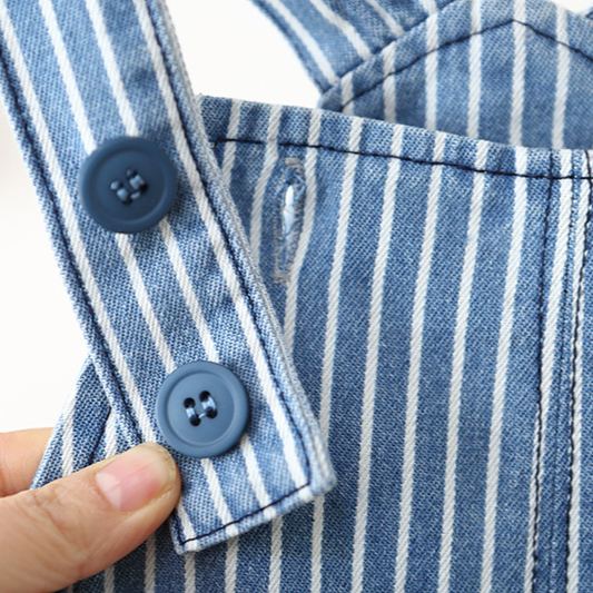 Toddler Stripe Denim Overalls