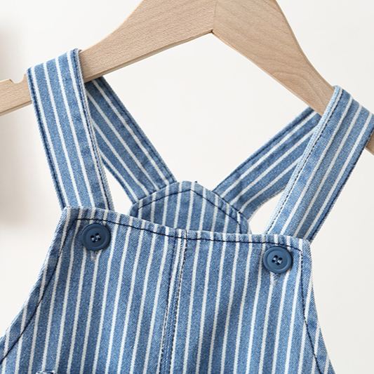 Toddler Stripe Denim Overalls