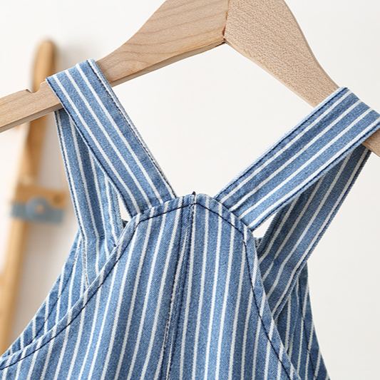 Toddler Stripe Denim Overalls