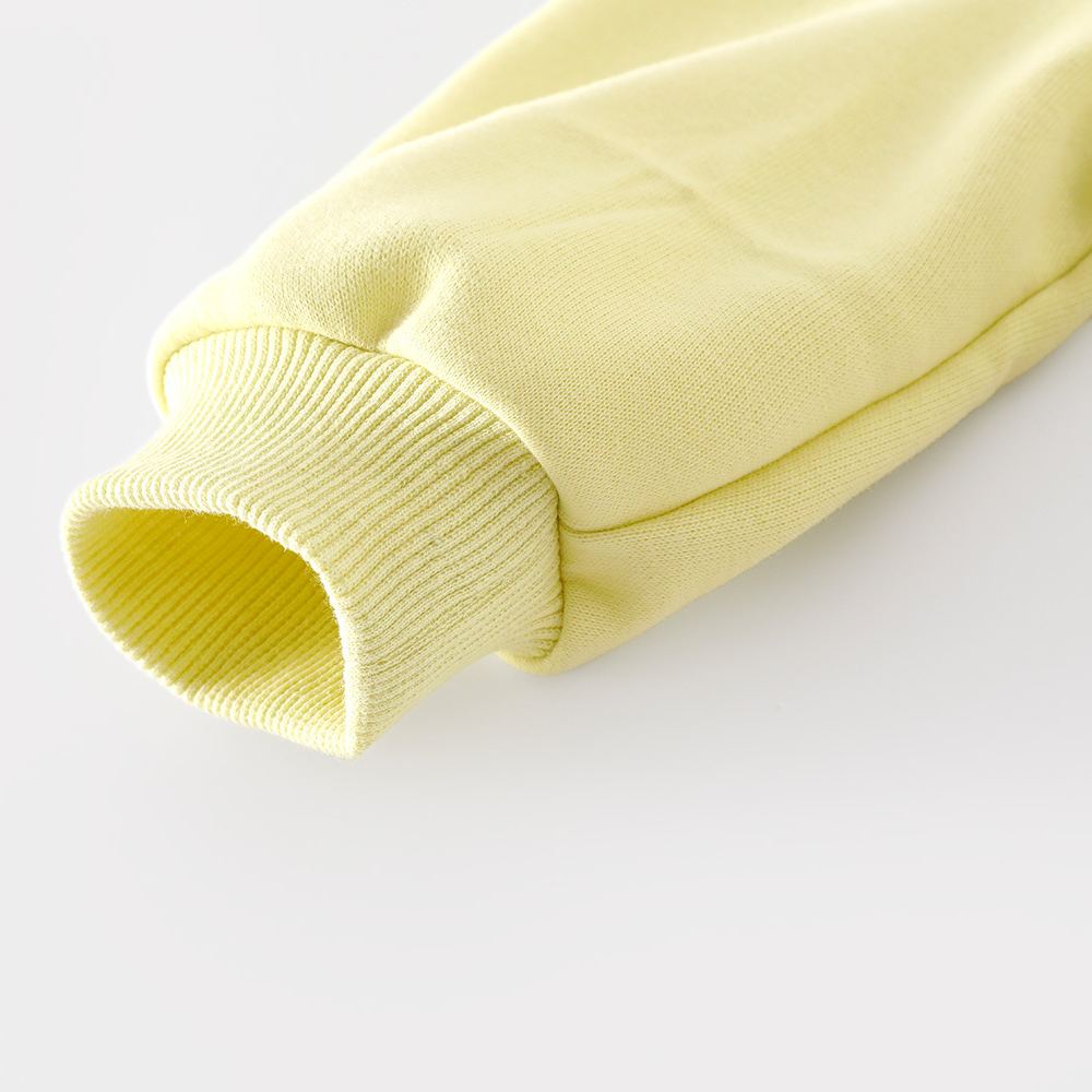 Baby Toddler Girl Rabbit Hooded 2-Piece  Sets