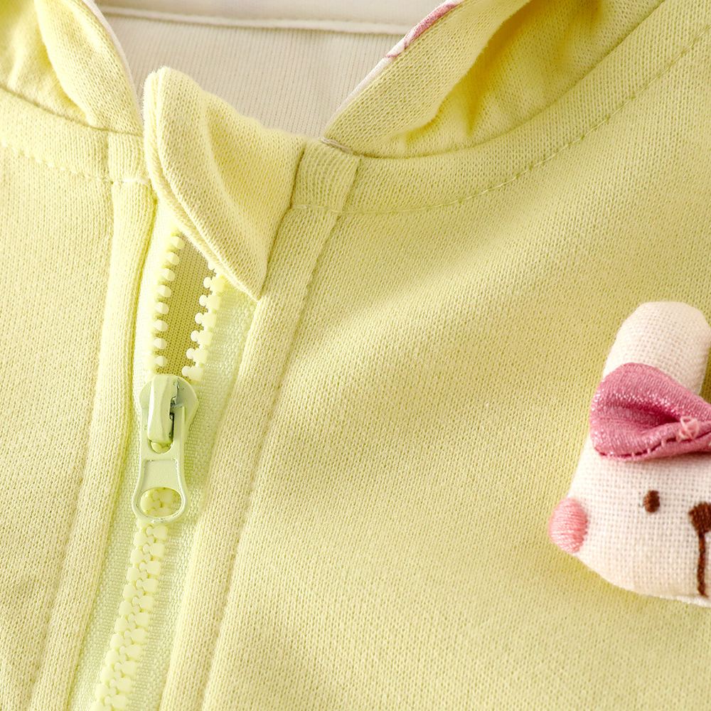 Baby Toddler Girl Rabbit Hooded 2-Piece  Sets
