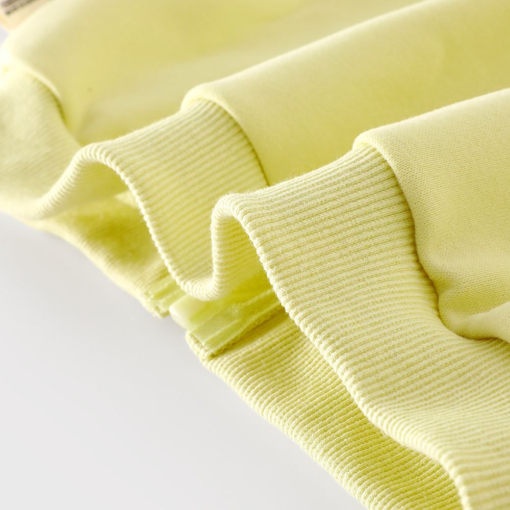 Baby Toddler Girl Rabbit Hooded 2-Piece  Sets