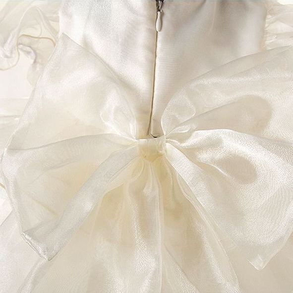 Baby& Kid Floral Bow Tulle Dress