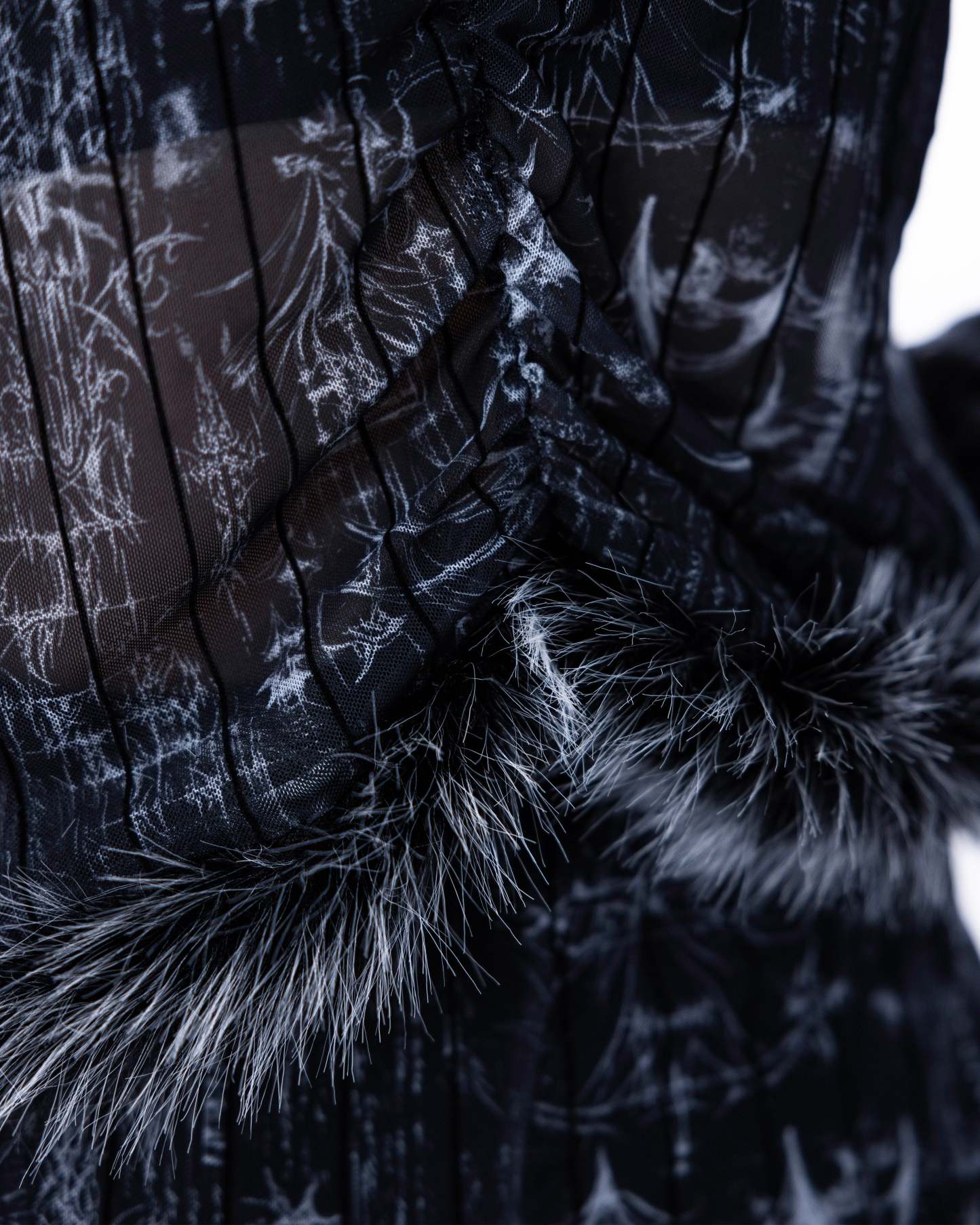 <IT's N0T BLACK & WHITE> - BLACK CYGNUS ATRATUS