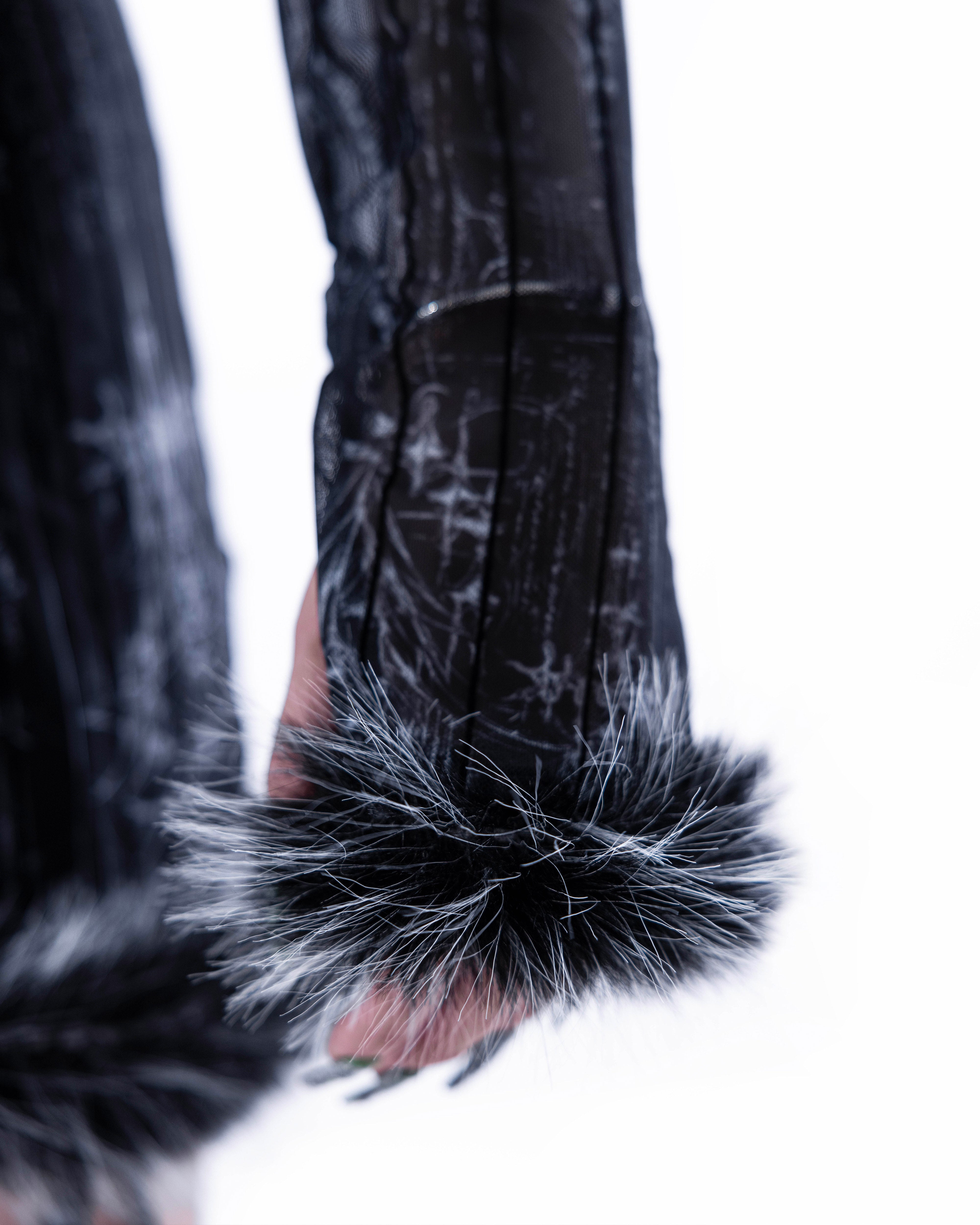 <IT's N0T BLACK & WHITE> - BLACK CYGNUS ATRATUS