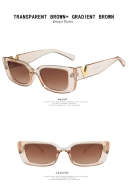TRANSP ARENT BROWN GRADIENT BROWN