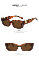 LEOPARD+BROWN