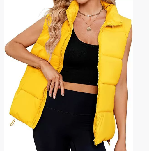 2025 Women's New Sleeveless Stand Collar Warm Velvet Vest Jacket