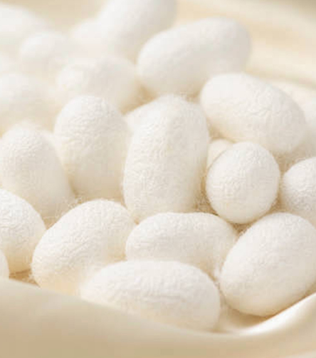 2025 Wool Mulberry Silk Velvet Double-Sided Velvet Long Sleeve