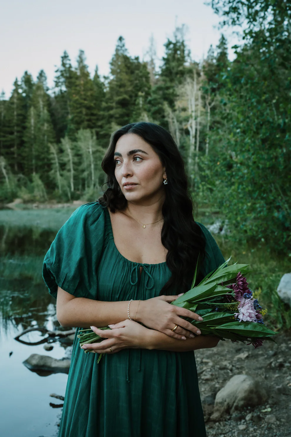 New Elegant Lantern Sleeve Dress