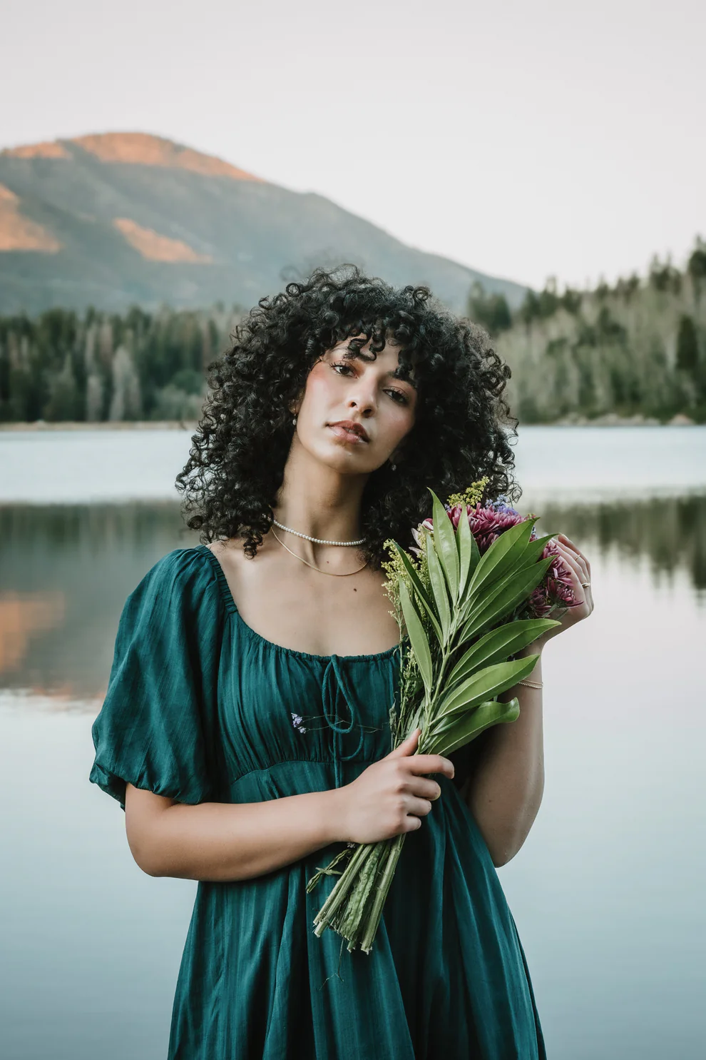 New Elegant Lantern Sleeve Dress