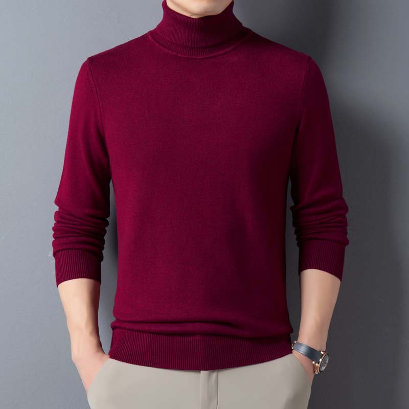 Turtleneck Cashmere Knit Sweater