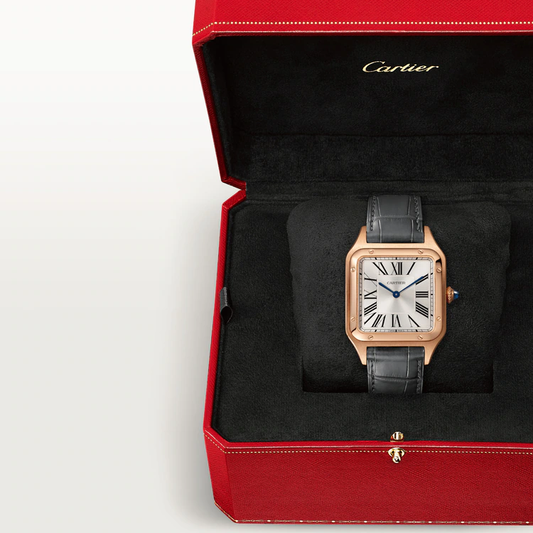 SANTOS-DUMONT WATCH